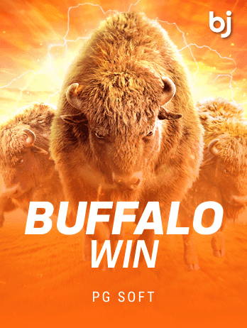 Buffalo Winpng game cover